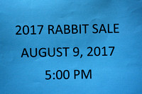 2017 Rabbit Sale