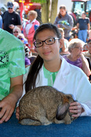 2017 Rabbit Show Champaign County Fair